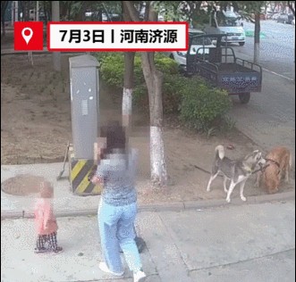 主人怕狗伤人拦住小孩却被孩子爷爷撞倒！路人：坏人变老了